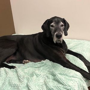 Meet your Posher, Jen